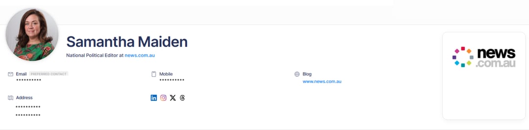 political journalists